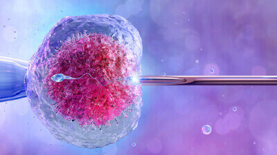 What is the process (egg freezing and ivf)