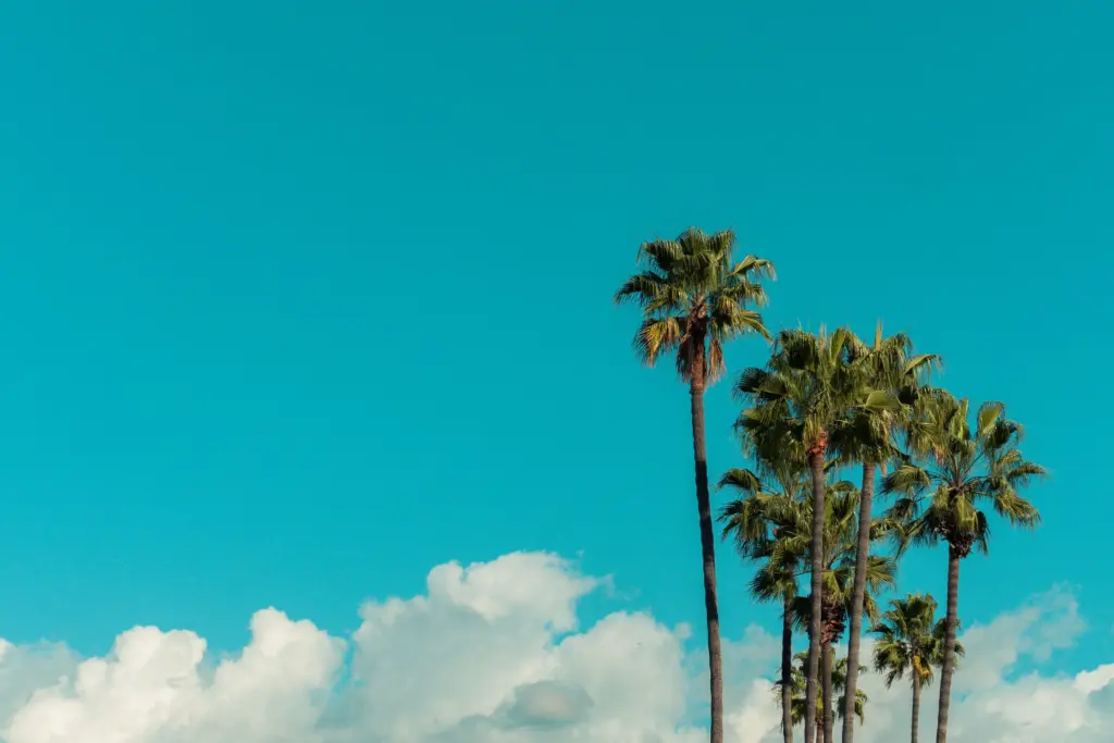 IVF Cost in Los Angeles: What You Need to Know