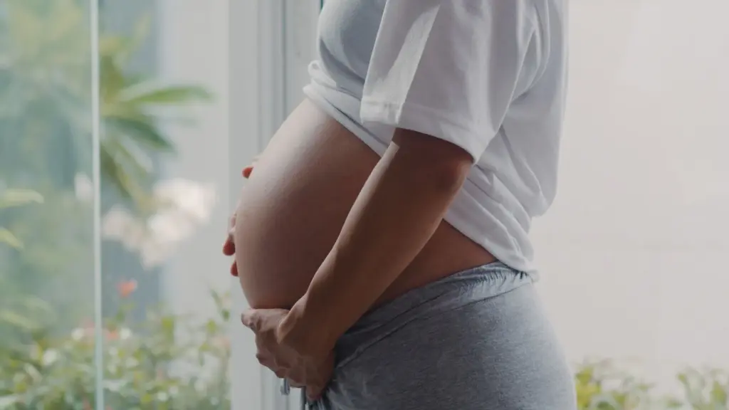 Understanding Surrogacy Costs: What Factors Impact the Price of Surrogacy?