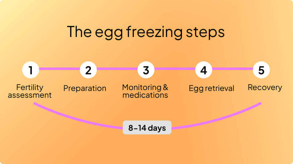 What to expect from the egg freezing process?
