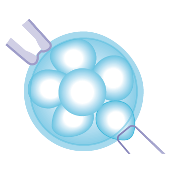 Delaware Institute for Reproductive Medicine, PA