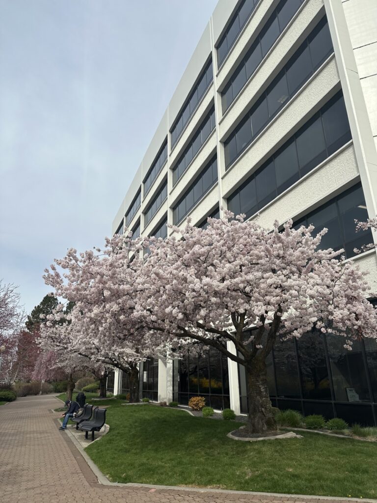 Center for Reproductive Health gallery photo