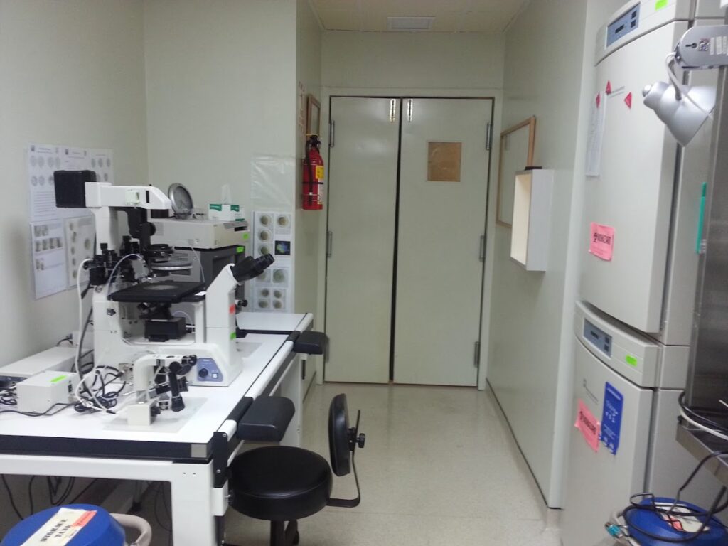 GREFI, Gynecology, Reproductive Endocrinology & Fertility Institute gallery photo