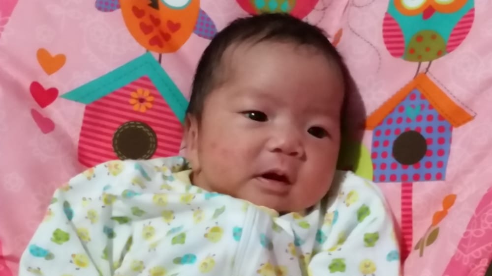 IVF Hawaii gallery photo