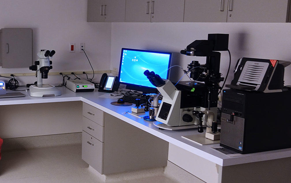 LA IVF Clinic gallery photo