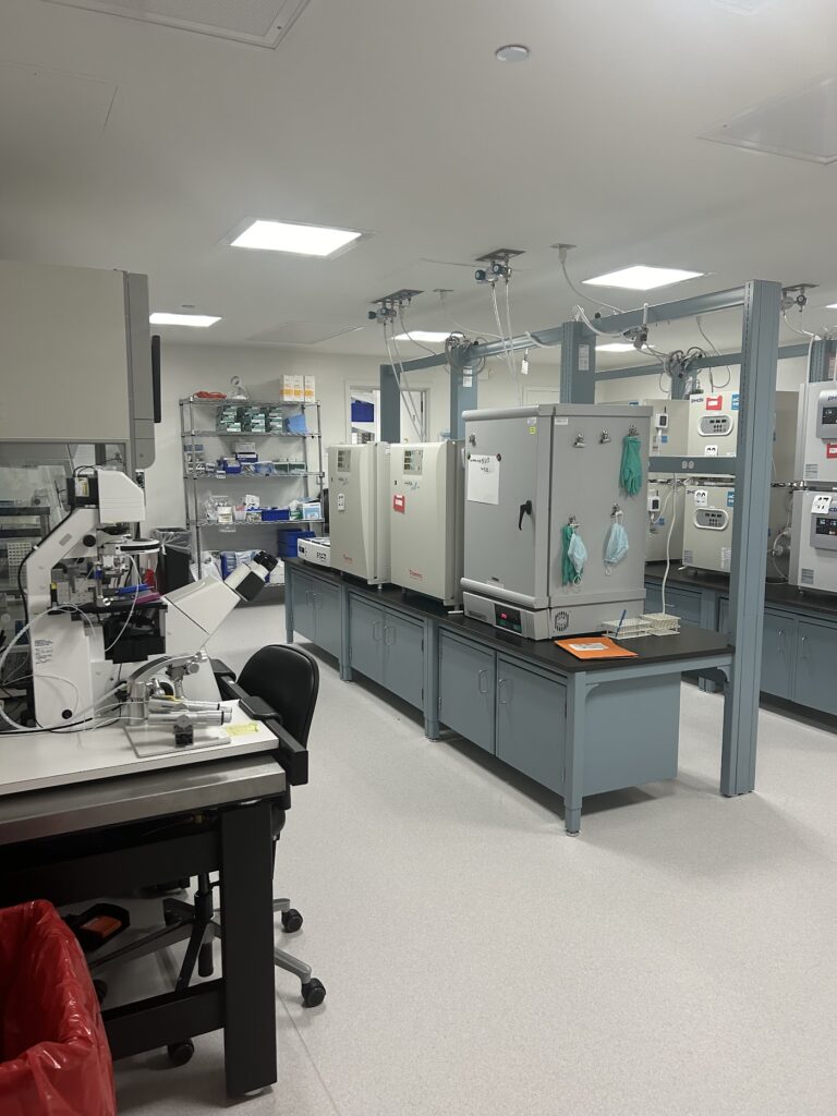 Virginia Fertility & IVF gallery photo
