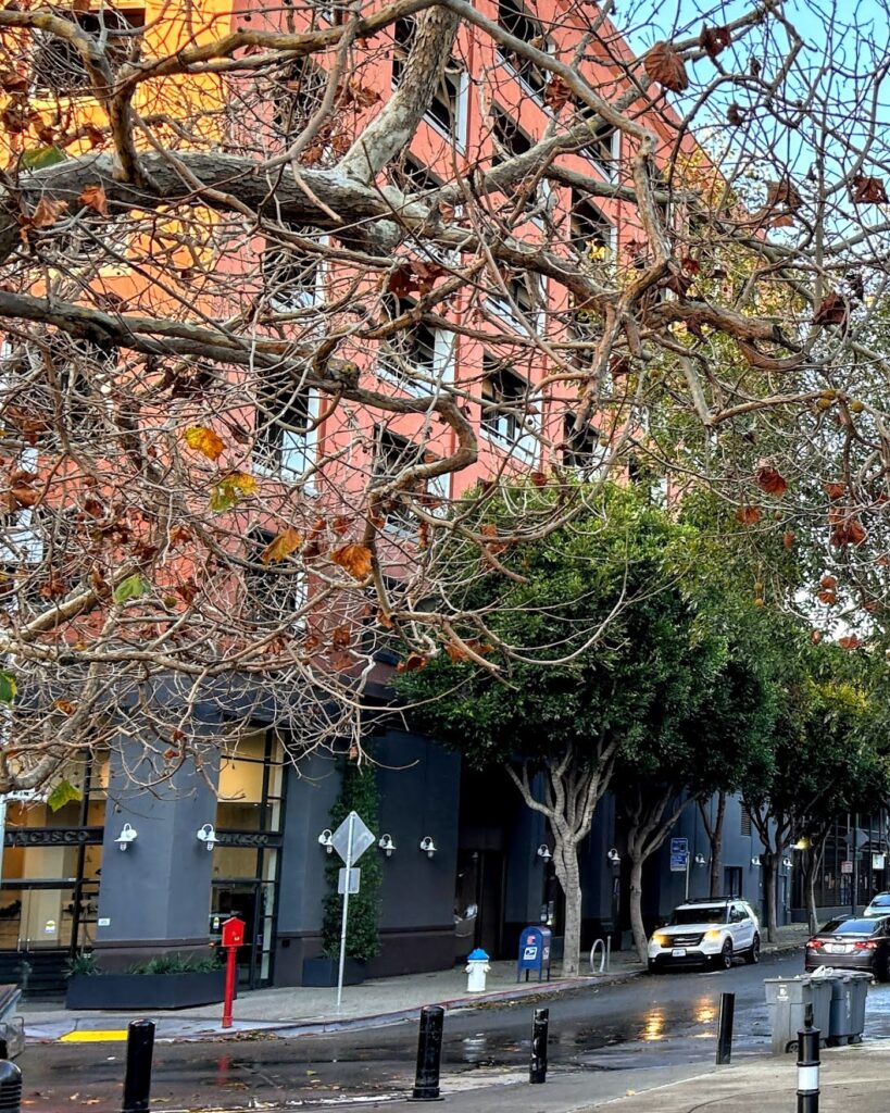 Pacific Fertility Center gallery photo