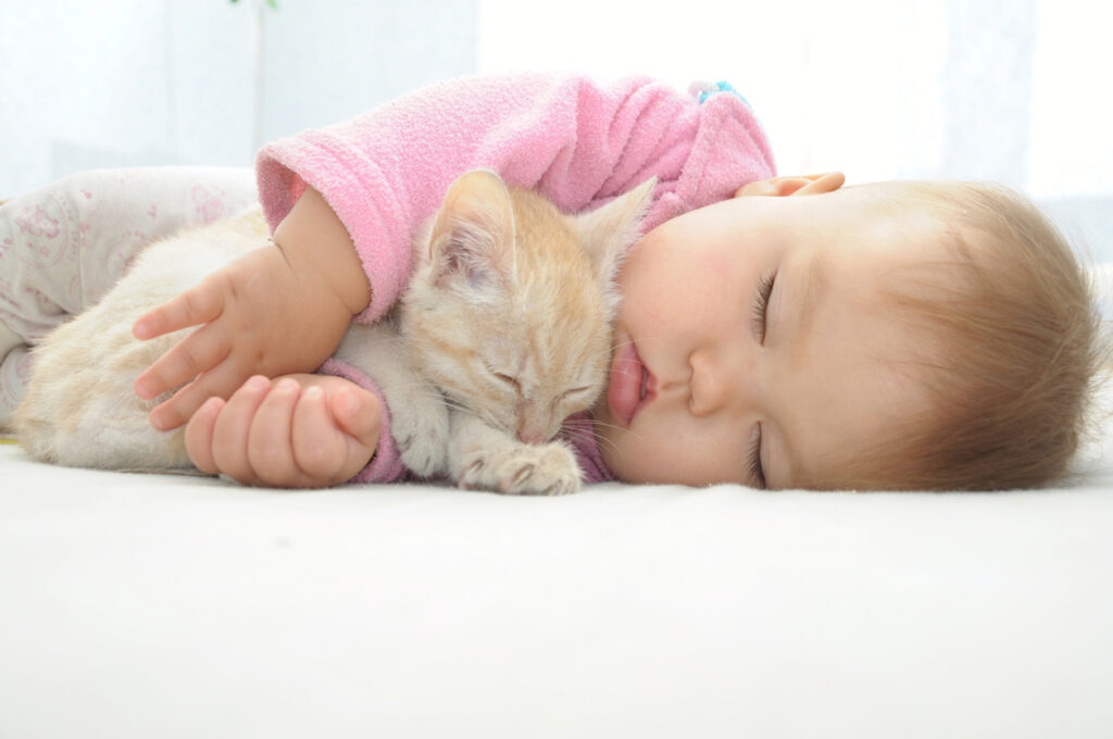 LA IVF Clinic gallery photo