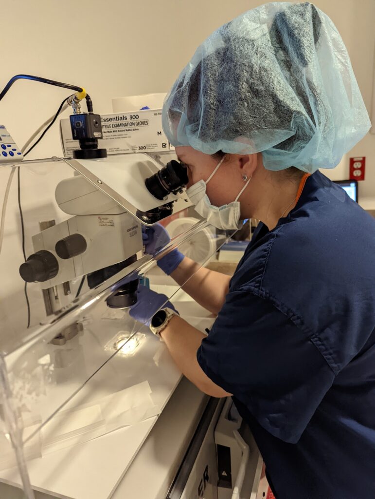 Reproductive Medicine Associates of Michigan gallery photo