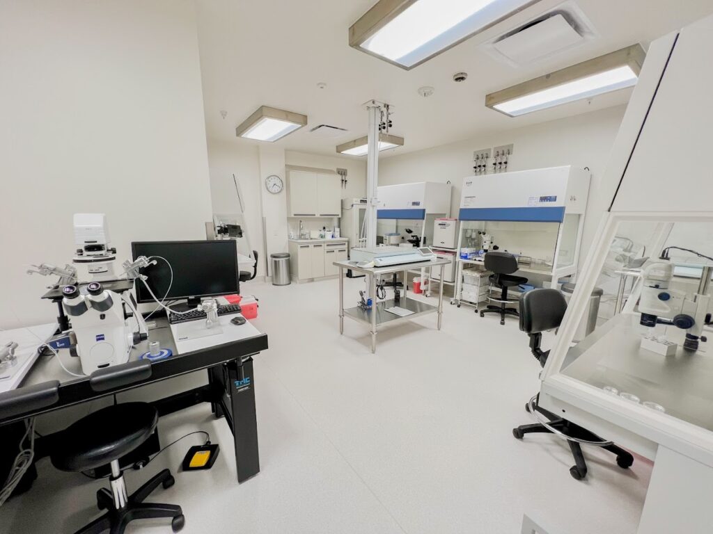 Hanabusa IVF gallery photo