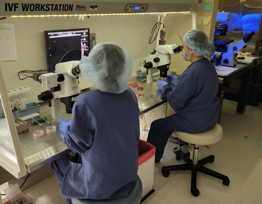 New England Fertility Institute gallery photo