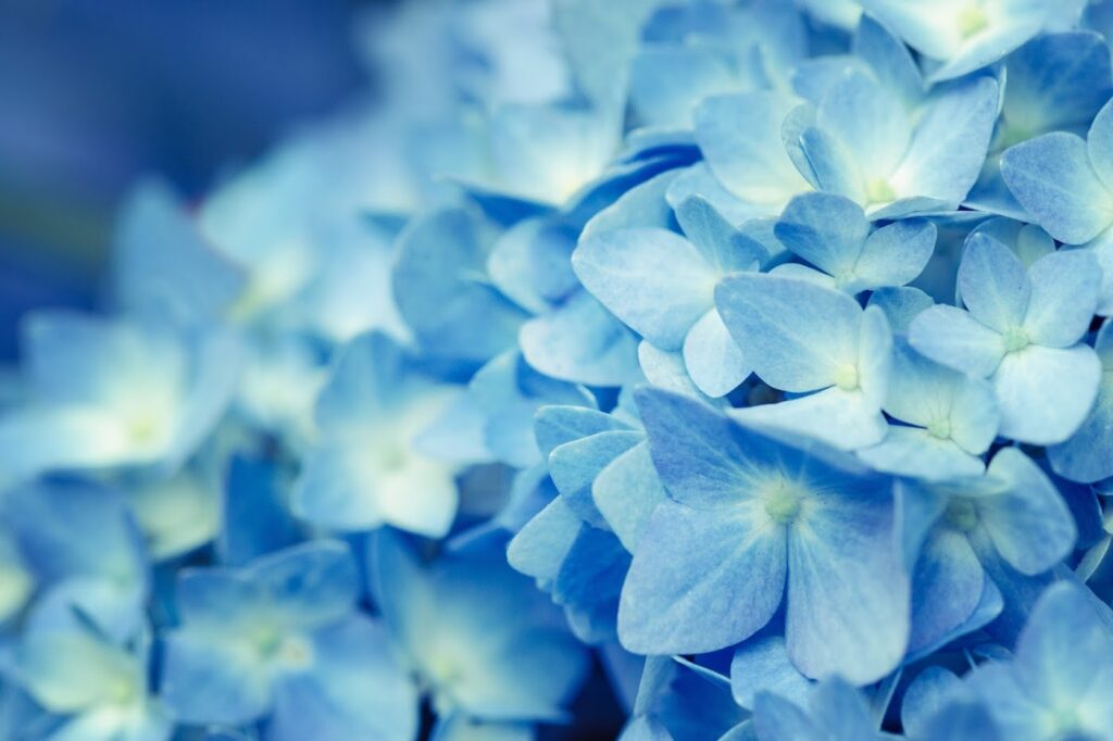 Spring Fertility gallery photo
