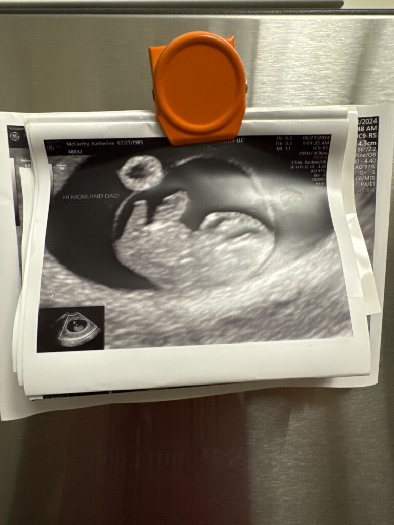 STL Fertility gallery photo