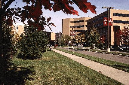 UT Health San Antonio Reproductive Health and Fertility Center gallery photo