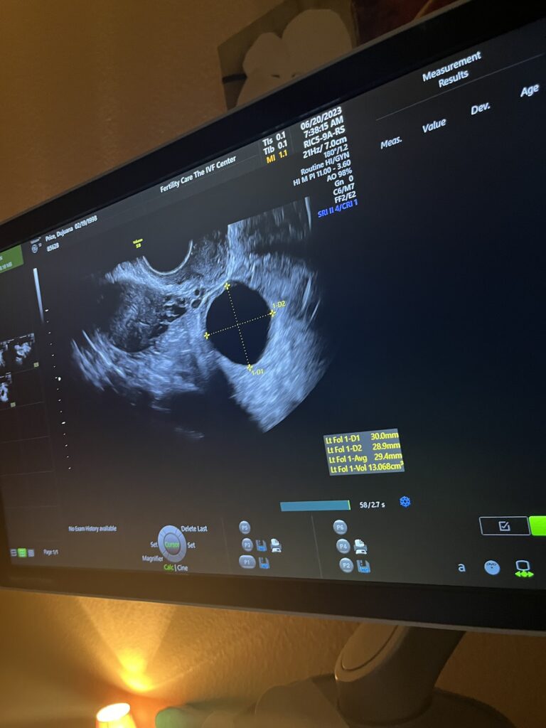The IVF Center gallery photo