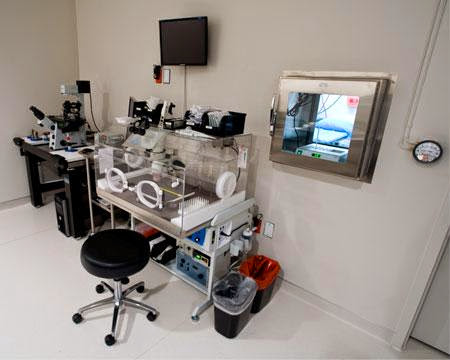 Fertility Specialists of Texas, PLLC gallery photo