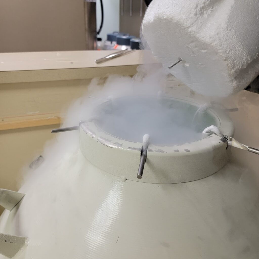 New England Fertility Institute gallery photo