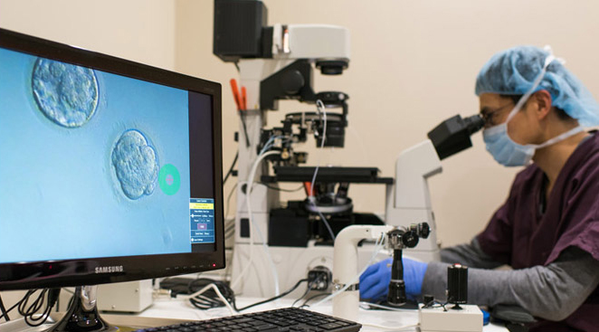Northeastern Reproductive Medicine gallery photo