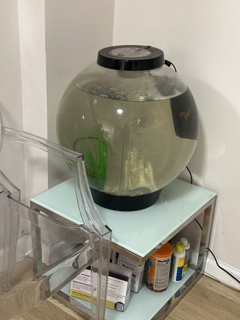 Fertility New York gallery photo