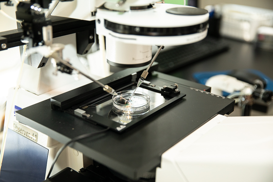 Markham Fertility Centre (MFC) gallery photo