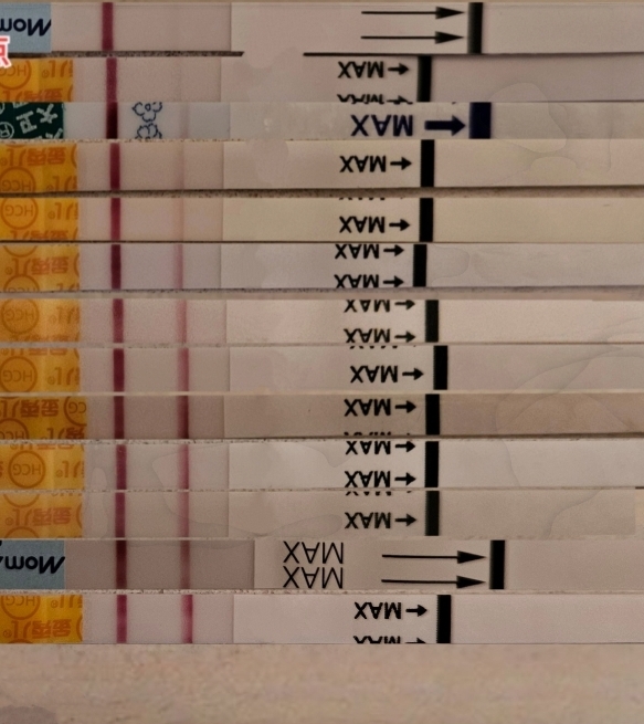 IVF Canada (Markham) gallery photo