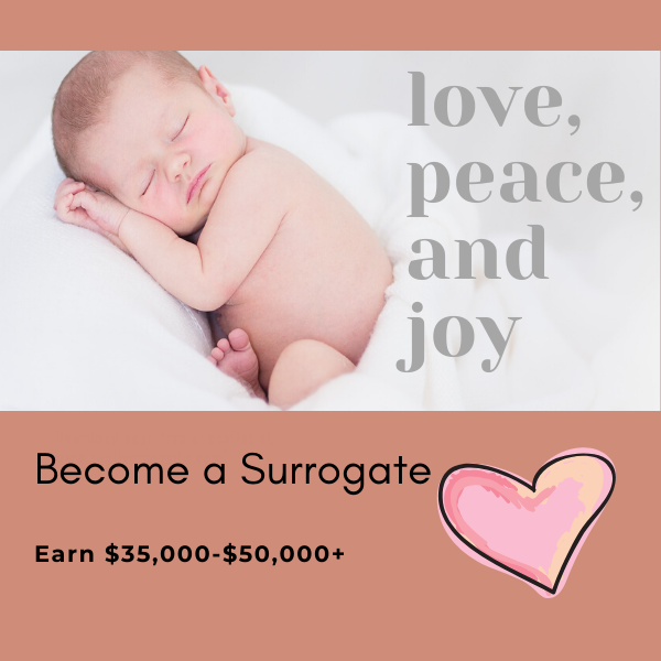 Advocates for Surrogacy gallery photo