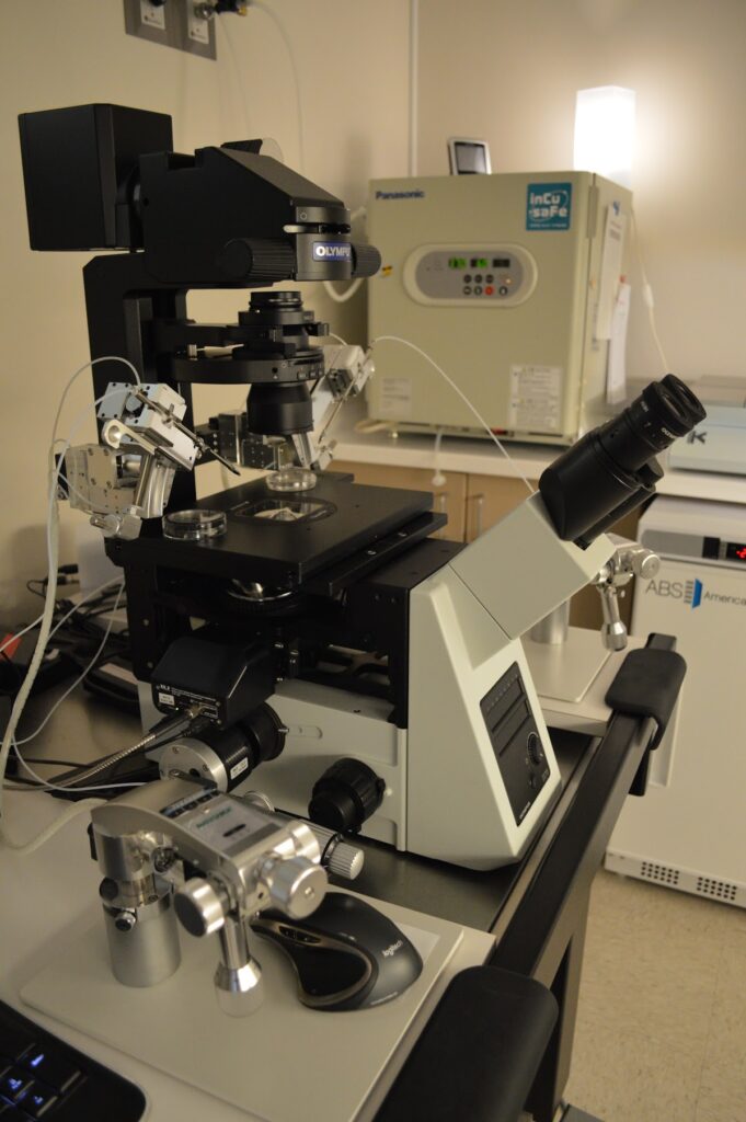 F.I.R.S.T. IVF & Egg Bank gallery photo