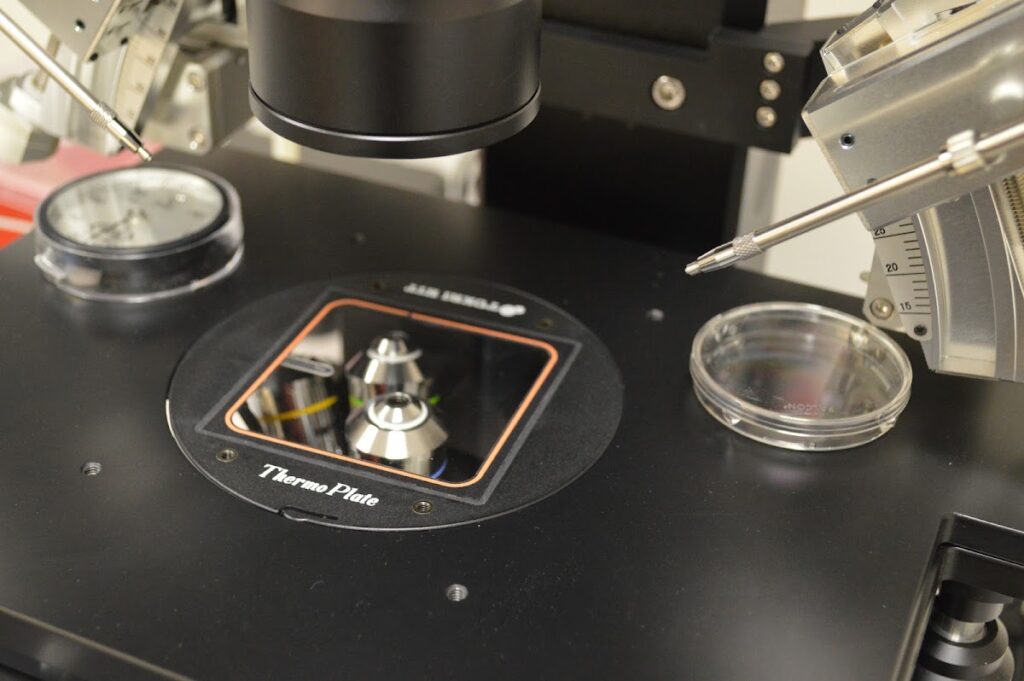 F.I.R.S.T. IVF & Egg Bank gallery photo