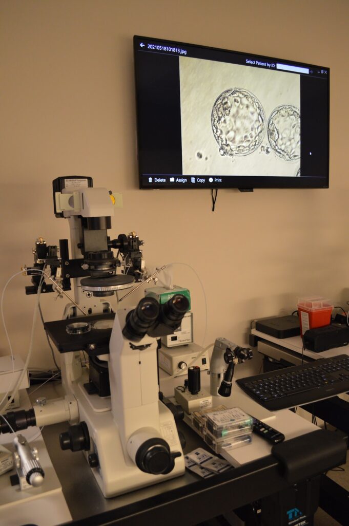 F.I.R.S.T. IVF & Egg Bank gallery photo