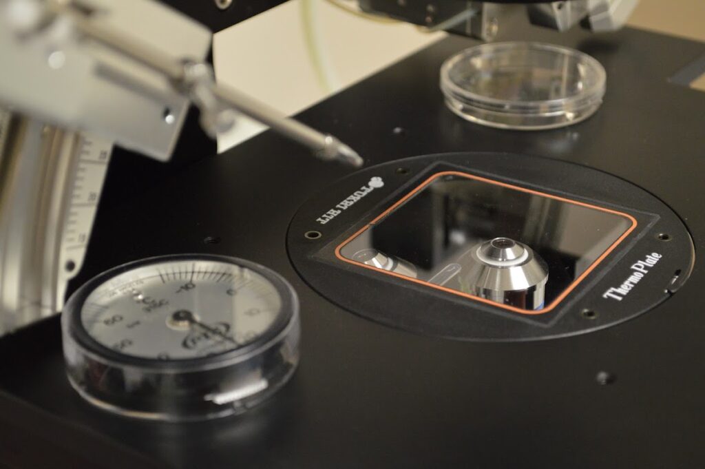 F.I.R.S.T. IVF & Egg Bank gallery photo