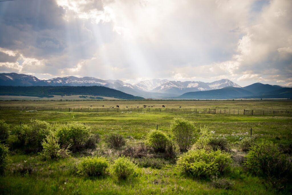 Colorado Surrogacy, LLC gallery photo