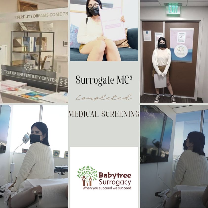 BabyTree Surrogacy gallery photo