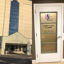 NewLIFE Fertility/New Leaders In Fertility & Endocrinology LLC gallery photo