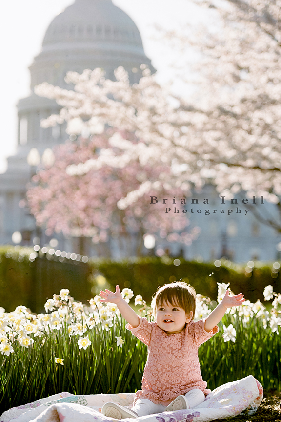 Capital Surrogacy, LLC gallery photo