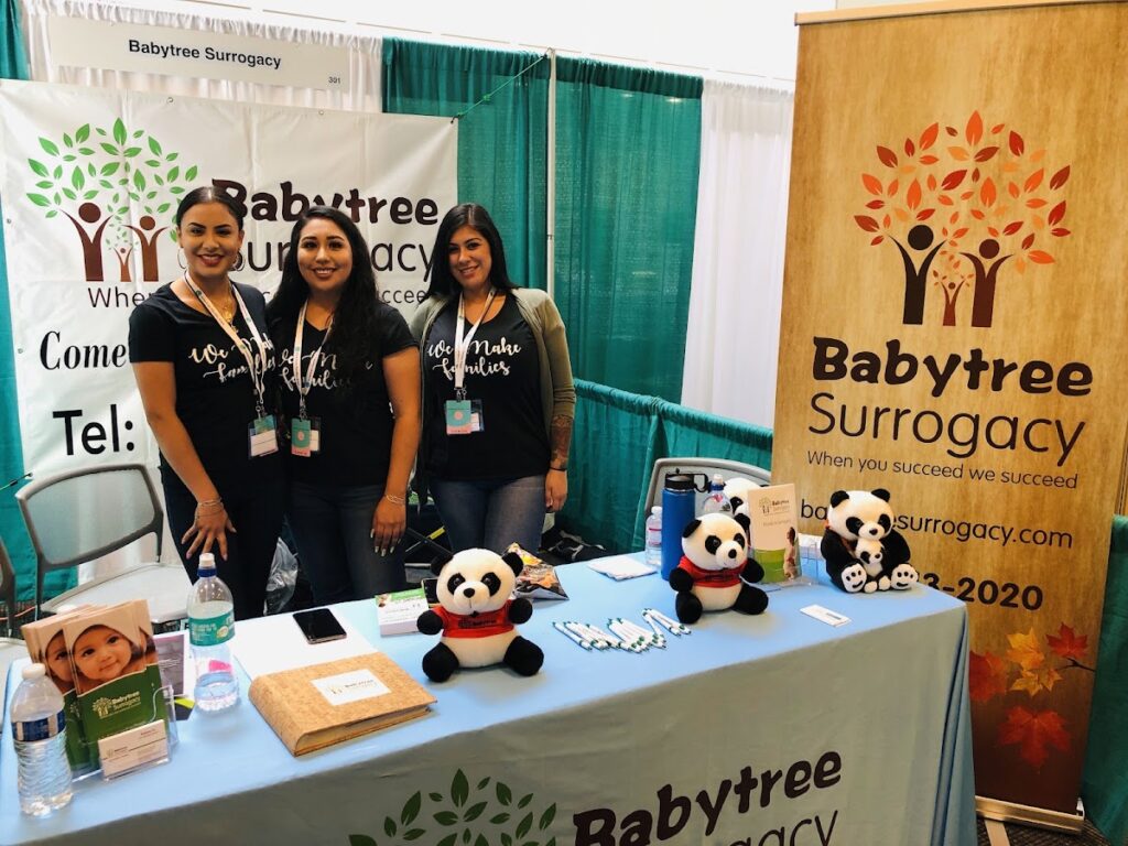 BabyTree Surrogacy gallery photo