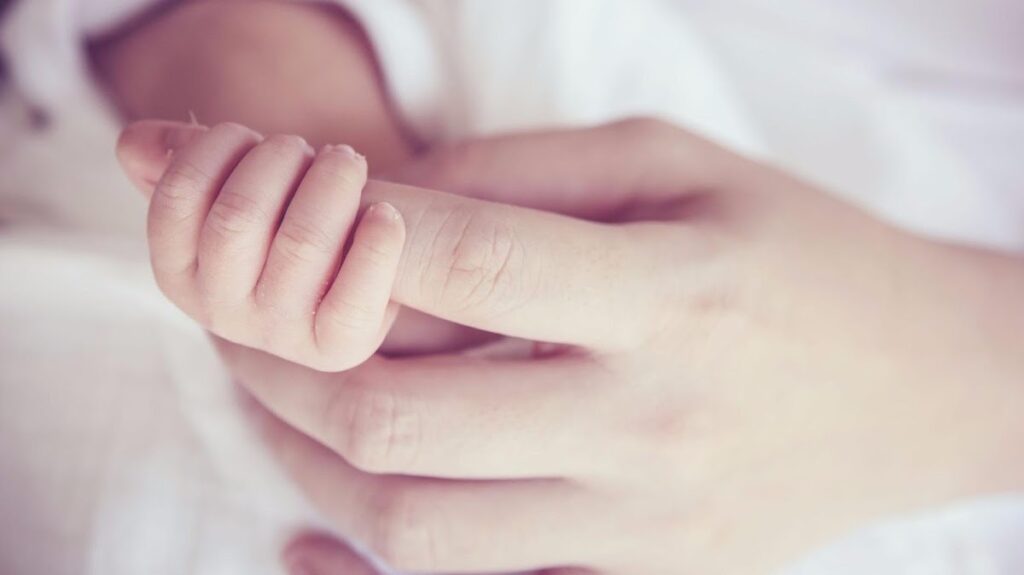 effortless IVF gallery photo