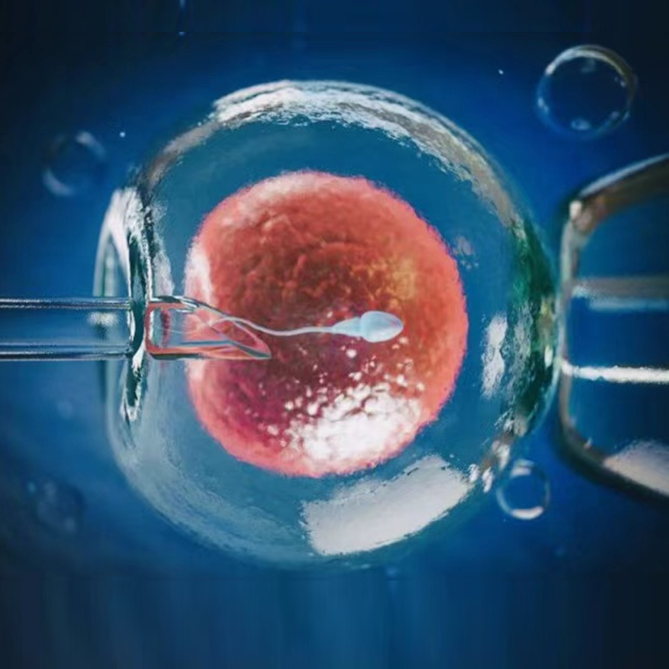 Beverly Hills Boutique Fertility Concierge & Luxury Surrogacy Agency | IMA ART gallery photo