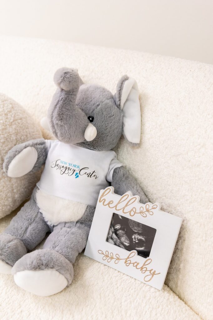 New York Surrogacy Center gallery photo