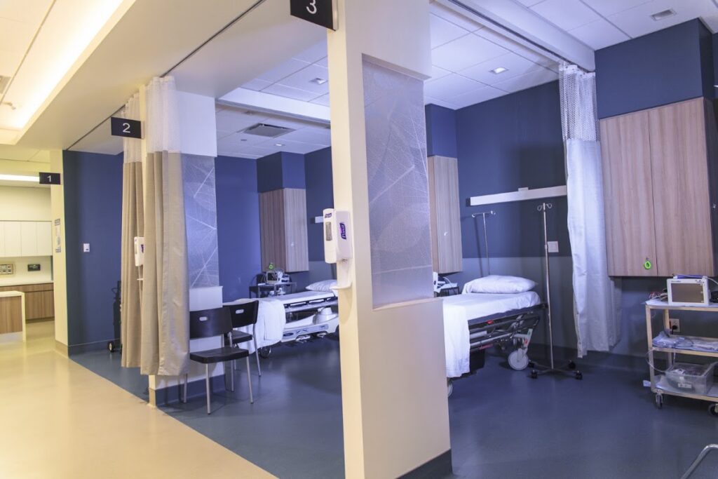 Egg Donor IVF gallery photo
