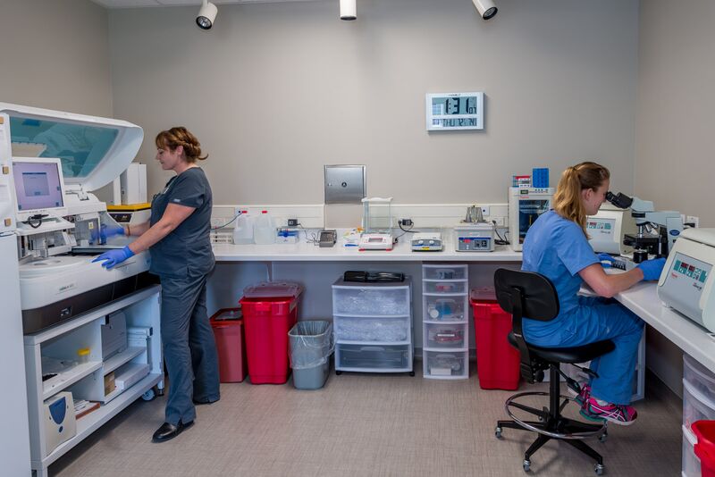 Dr. Jeremy M. Groll, MD – SpringCreek Fertility gallery photo