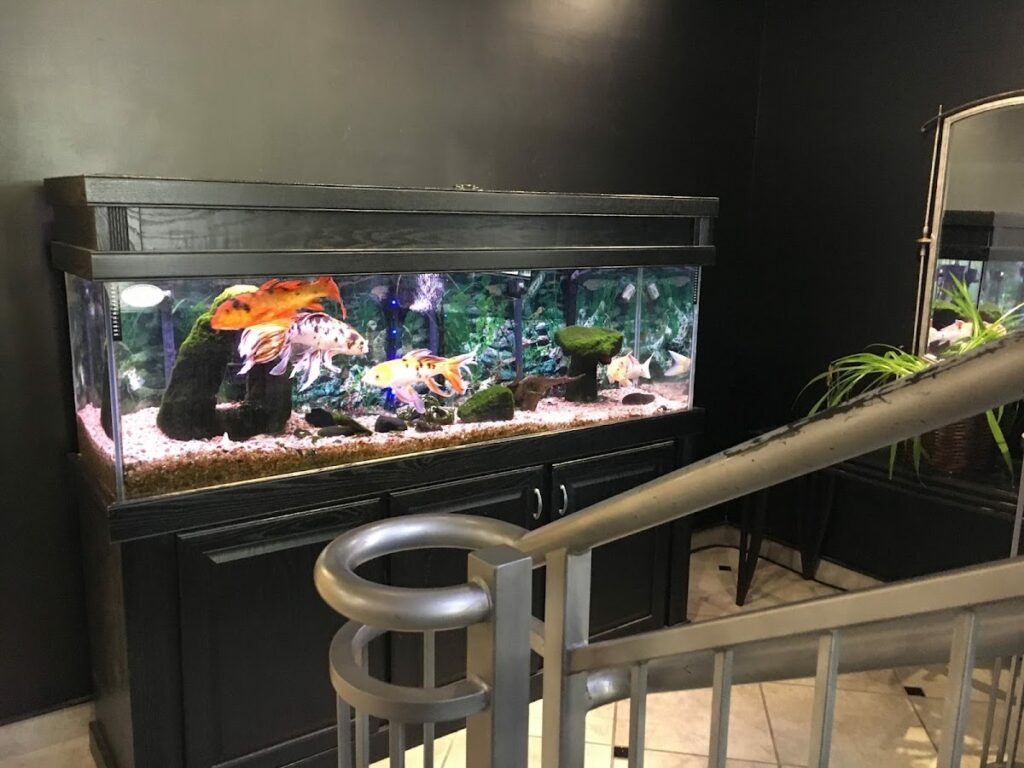 Glenn Fertility & Family Wellness gallery photo