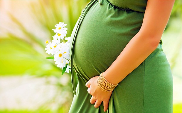 Great Beginnings Surrogacy Services gallery photo