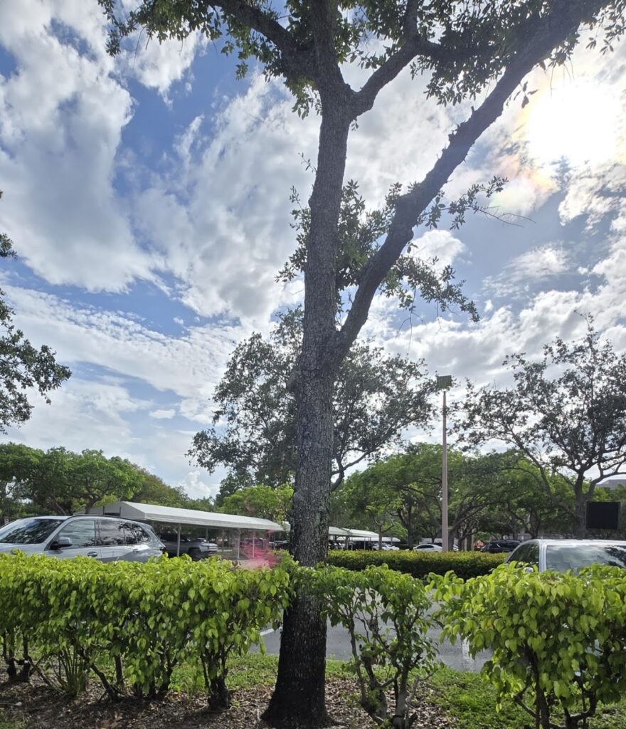Uhealth Fertility Center Plantation gallery photo