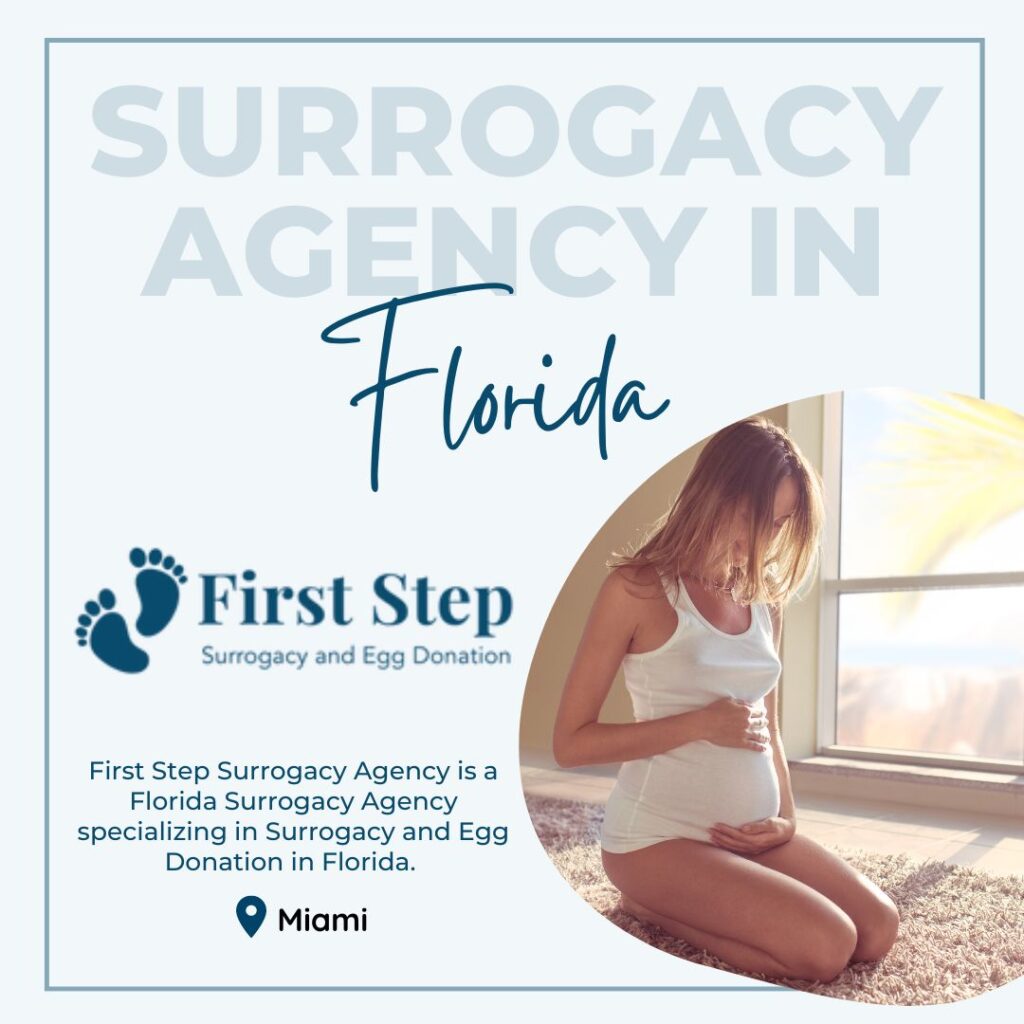 First Step Surrogacy and Egg Donation gallery photo