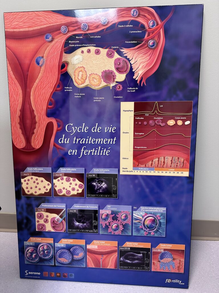 OriginElle Fertility Clinic & Women’s Health Centre gallery photo