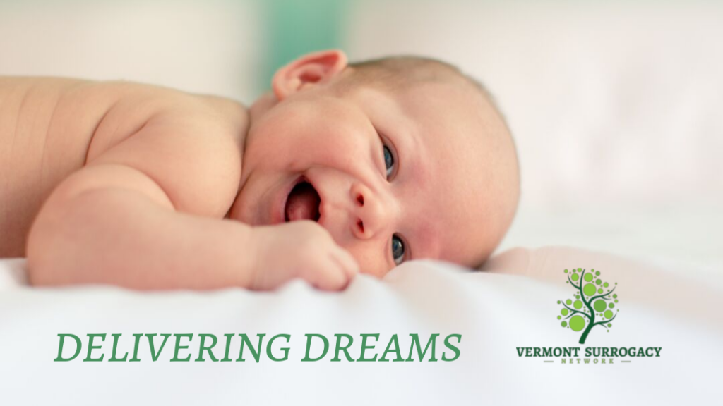 Vermont Surrogacy Network gallery photo
