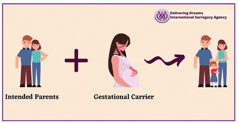 Delivering Dreams International Surrogacy Agency gallery photo