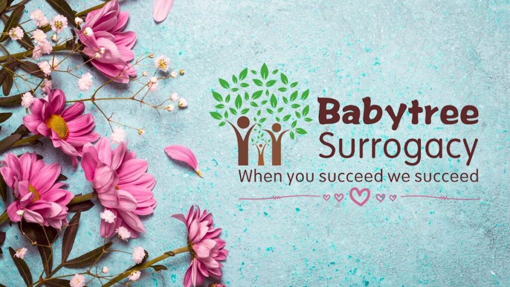 BabyTree Surrogacy gallery photo