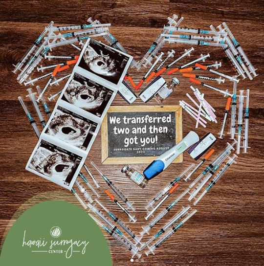 Hawaii Surrogacy Center gallery photo
