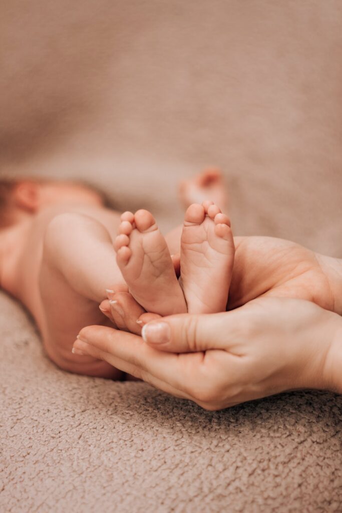 Surrogate Prime LLC gallery photo